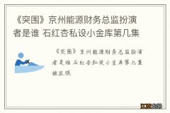 《突围》京州能源财务总监扮演者是谁 石红杏私设小金库第几集被发现