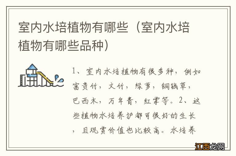 室内水培植物有哪些品种 室内水培植物有哪些