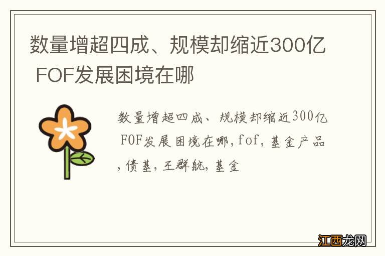 数量增超四成、规模却缩近300亿 FOF发展困境在哪