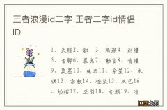 王者浪漫id二字 王者二字id情侣ID