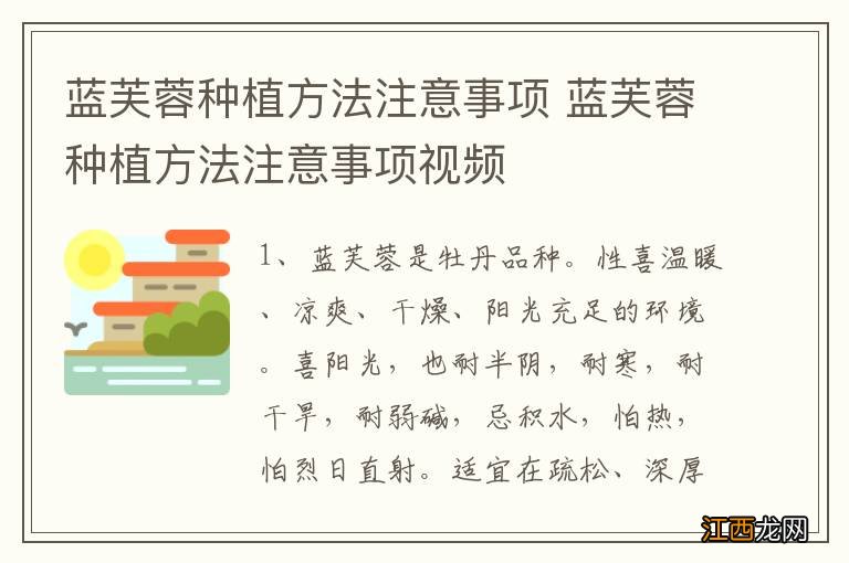 蓝芙蓉种植方法注意事项 蓝芙蓉种植方法注意事项视频