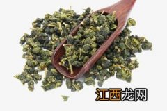 茶树种类及代表茶叶