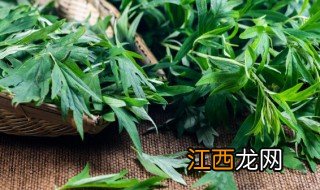 艾草的种植方法及注意事项 艾草的种植方法及注意事项视频