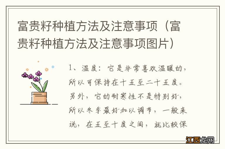 富贵籽种植方法及注意事项图片 富贵籽种植方法及注意事项