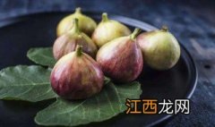 新疆无花果有什么品种图片 新疆无花果有什么品种