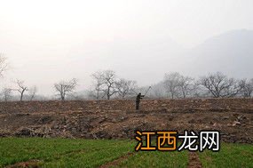 农民在地里干什么农活