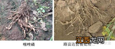 一亩地用多少路富达