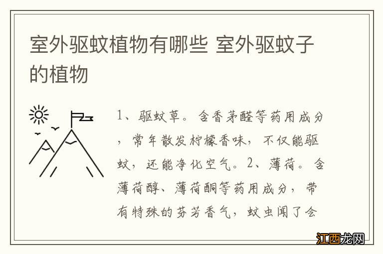 室外驱蚊植物有哪些 室外驱蚊子的植物