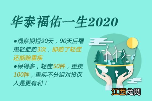 福佑一生2020是哪个公司的产品？