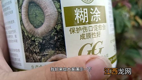 敌草快使用方法