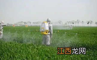 除草剂打完下雨影响吗