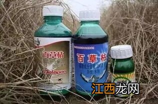 百草枯喷洒后多久失效