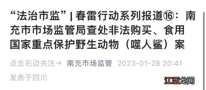 烹食大白鲨！一网红被罚12.5万！