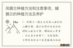 凤蝶兰种植方法和注意事项，蝴蝶兰的种植方法及养护