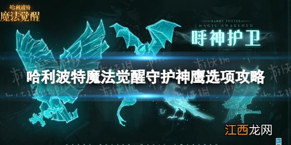 哈利波特魔法觉醒守护神鹰怎么获得 哈利波特魔法觉醒守护神鹰选项攻略