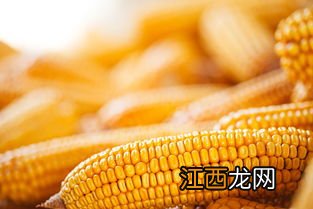 平安1413玉米品种