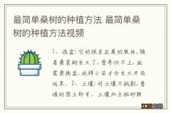 最简单桑树的种植方法 最简单桑树的种植方法视频