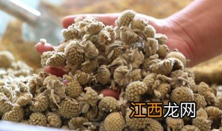 绿萝花茶的功效和作用副作用 绿萝花茶哪些人不能饮用