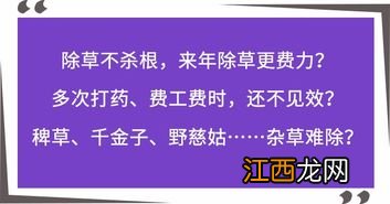 陶氏灵斯科注意事项