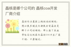 晶核是哪个公司的 晶核coa开发厂商介绍