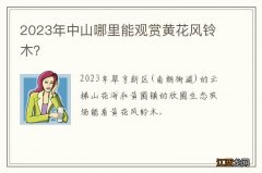 2023年中山哪里能观赏黄花风铃木？