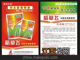 大龄稗草用什么除草剂