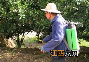 矿物油农药注意事项