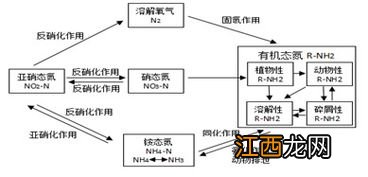 水产养殖氨氮标准