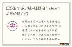 狂野泊车多少钱-狂野泊车steam发售价格介绍