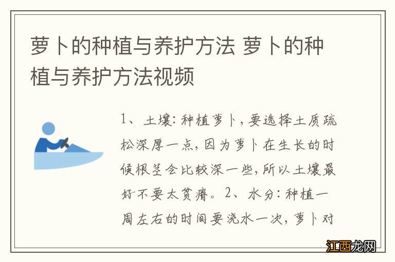 萝卜的种植与养护方法 萝卜的种植与养护方法视频