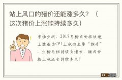 这次猪价上涨能持续多久 站上风口的猪价还能涨多久？