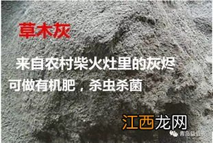 草木灰的主要成分含量