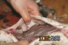 养鱼屋里有腥味怎么办