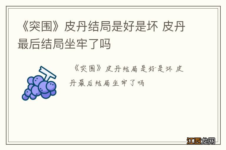 《突围》皮丹结局是好是坏 皮丹最后结局坐牢了吗