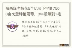 陕西煤老板花5个亿买下宁夏7500亩戈壁种植葡萄，8年没赚到1毛钱