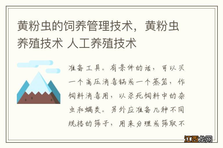 黄粉虫的饲养管理技术，黄粉虫养殖技术 人工养殖技术