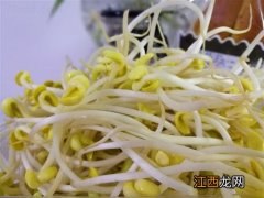 黄豆芽和绿豆芽的区别