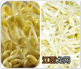 黄豆芽和绿豆芽的区别