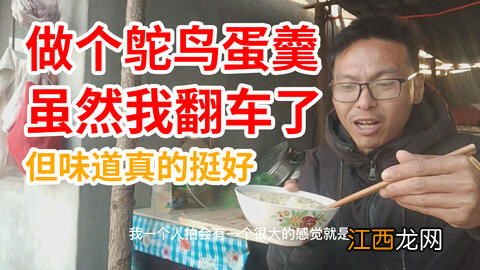 鸵鸟不吃食是怎么回事