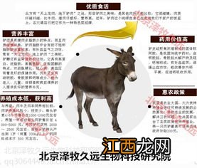 肉驴怎么催肥