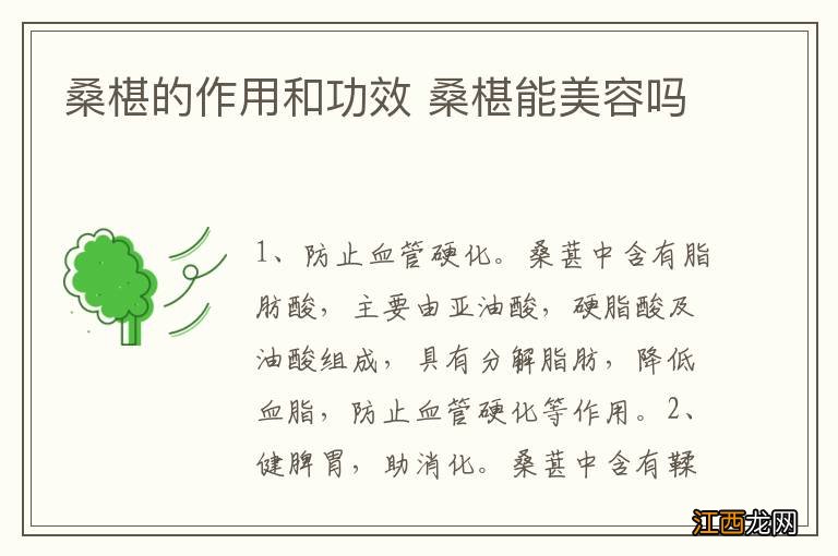 桑椹的作用和功效 桑椹能美容吗