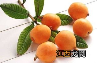 枇杷怎么吃