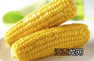 粟米是玉米吗