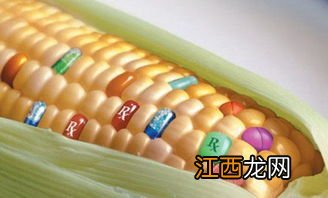 什么是转基因食品