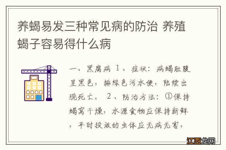 养蝎易发三种常见病的防治 养殖蝎子容易得什么病