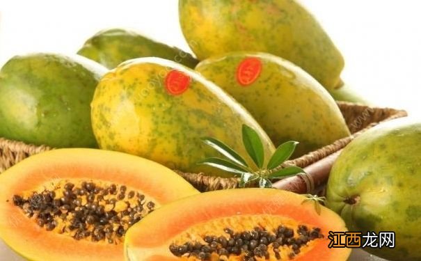 帮助减肥的食品有哪些?哪些食物能够辅助消化?