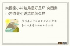 突围秦小冲结局是好是坏 突围秦小冲原著小说结局怎么样