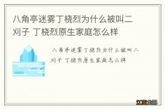 八角亭迷雾丁桡烈为什么被叫二刈子 丁桡烈原生家庭怎么样