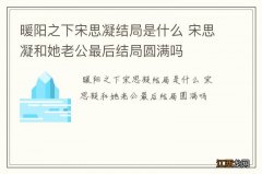 暖阳之下宋思凝结局是什么 宋思凝和她老公最后结局圆满吗