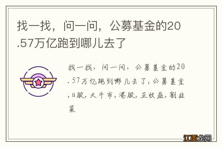 找一找，问一问，公募基金的20.57万亿跑到哪儿去了